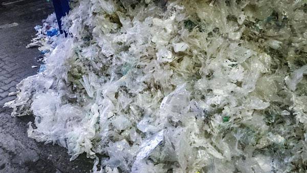 Homogenous LDPE film in A4 size after shredding and sorting